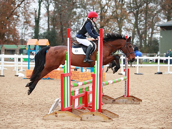 03.12.2023 Unaffiliated Showjumping