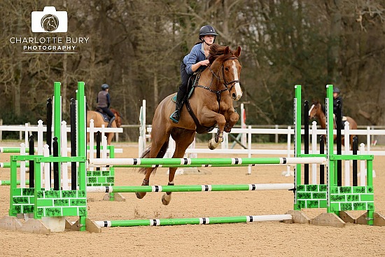 09.03.2024 - 10.03.2024 British Show Jumping Training Show