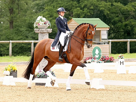 Wellington CDI 2024
