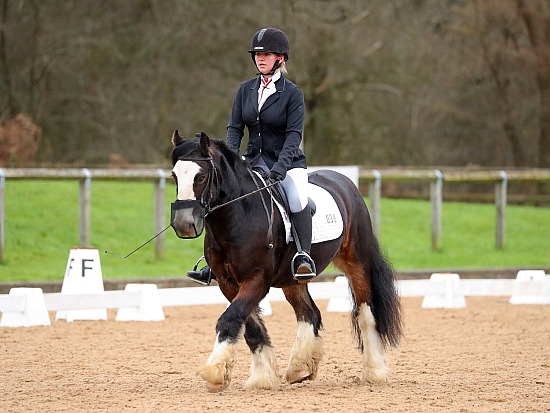 11.01.2025 Quest + Unaffiliated Dressage
