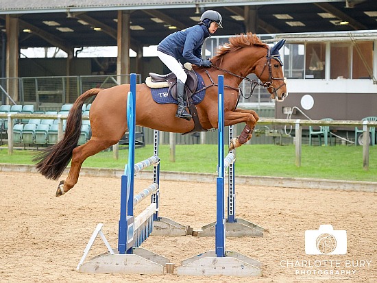 18.01.2025-20.01.2025 British Showjumping
