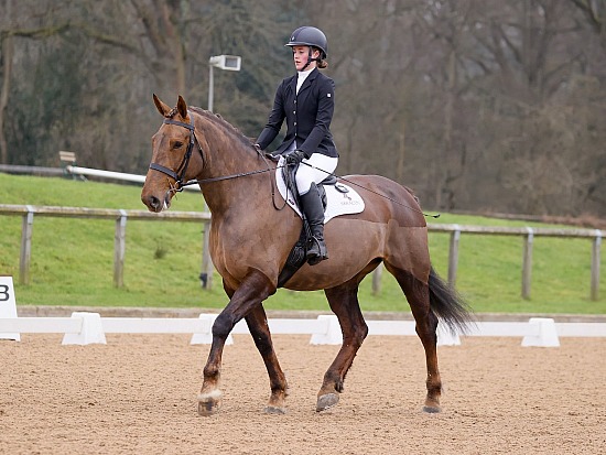 15.02.2025 Unaffiliated and Quest Dressage