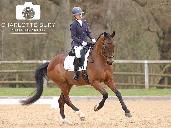 23.03.2025 - 24.03.2025 British Dressage inc. Para Dressage