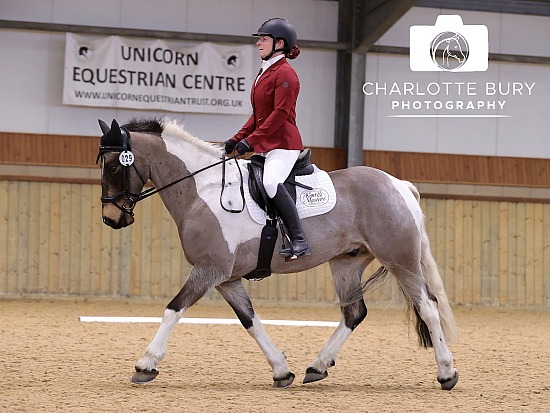 29.03.2025 Area 18 Intro Dressage Qualifier