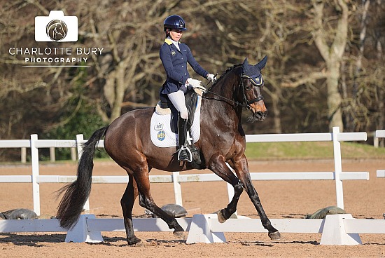 10.01.2026 Unaffiliated Dressage + Quest